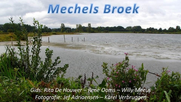 Mechels Broek