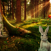 enchanted_forest-wide
