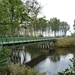 021-Syfonbrug in Damme over Leopoldkanaal-de Blinker