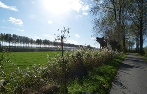154-Krinkeldijk terug naar Oostkerke