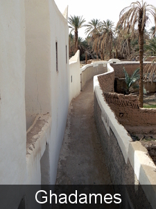 Libie 2008