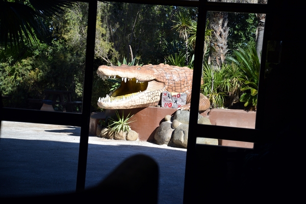 229 Torremolinos - centrum Krokodillenpark - 4.11.2013