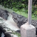 244 Torremolinos - centrum Krokodillenpark - 4.11.2013