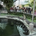 246 Torremolinos - centrum Krokodillenpark - 4.11.2013