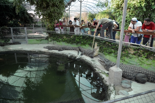 246 Torremolinos - centrum Krokodillenpark - 4.11.2013