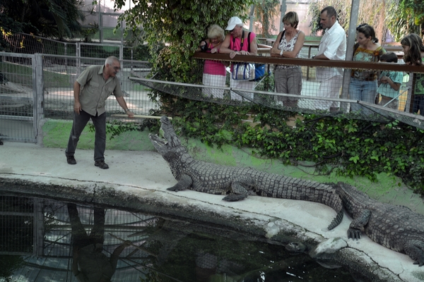 247 Torremolinos - centrum Krokodillenpark - 4.11.2013