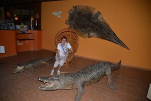 275 Torremolinos - centrum Krokodillenpark - 4.11.2013