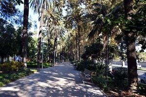 512 Màlaga - Park Paseo del Parque  2.11.2013