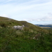 Zuid-Wales 2011-natuurreservaat the Brecons