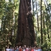 10_16_4_ Redwoods Park (33)