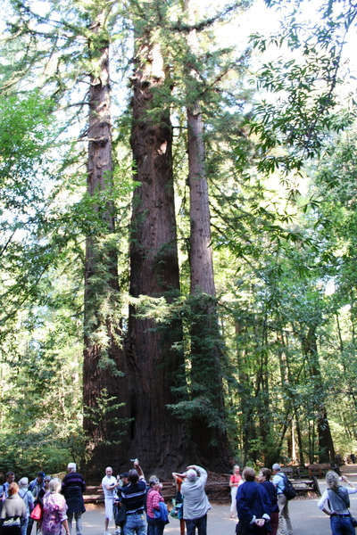10_16_4_ Redwoods Park (11)