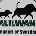 WE ZIJN NU AANGEKOMEN IN MLILWANE - SWAZILAND