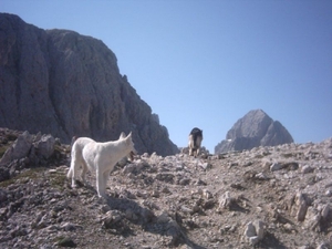 20040722Roseng 040 over Molignonpass