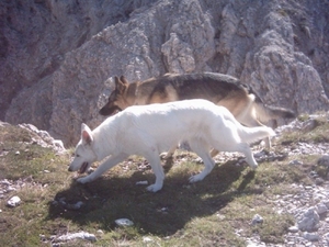 20040722Roseng 048 over Molignonpass