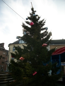 51-Kerstboom op stationplein Geraardsbergen