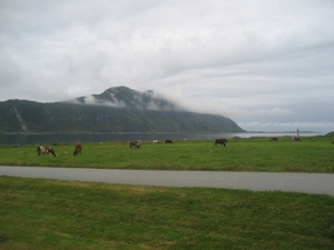 Noorwegen 2007 245