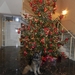 Bajka bij de kerstboom in het hotel