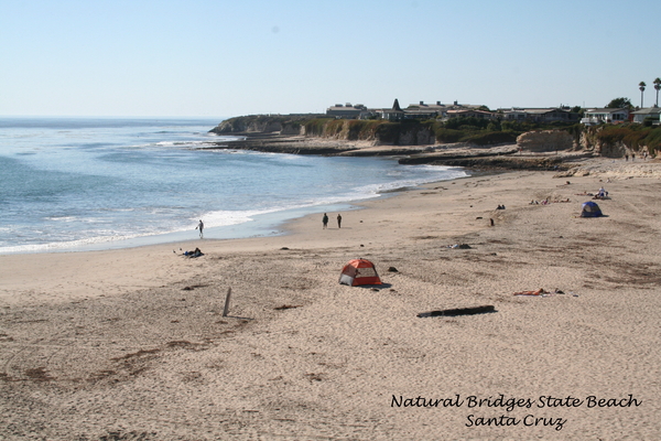10_16_5 Natural Bridges State Beach Santa Cruz (4)
