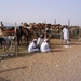 Kamelenmarkt