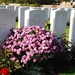 Artillery Wood Cemetery