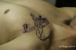 Tattoo Convention 2014-3930