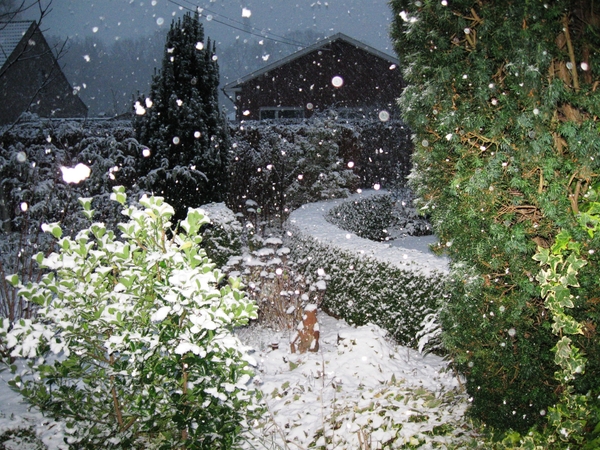 Eerste sneeuw 2008.