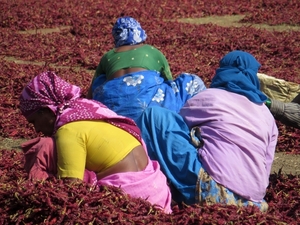 Vrouwen in de pepers