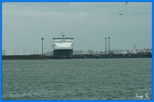haven zeebrugge (79)