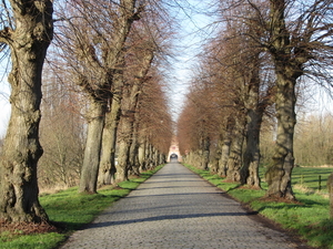 dreef naar Kasteel van Ooidonk