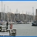 haven zeebrugge (115)