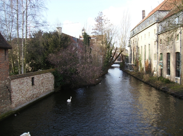 Brugge Februari 2014 023