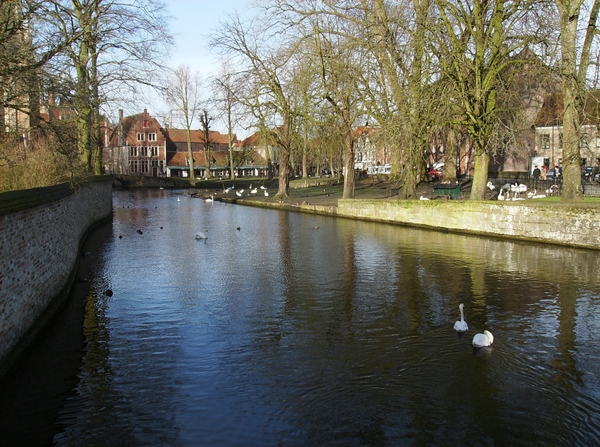 Brugge Februari 2014 031