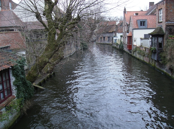 Brugge Februari 2014 048