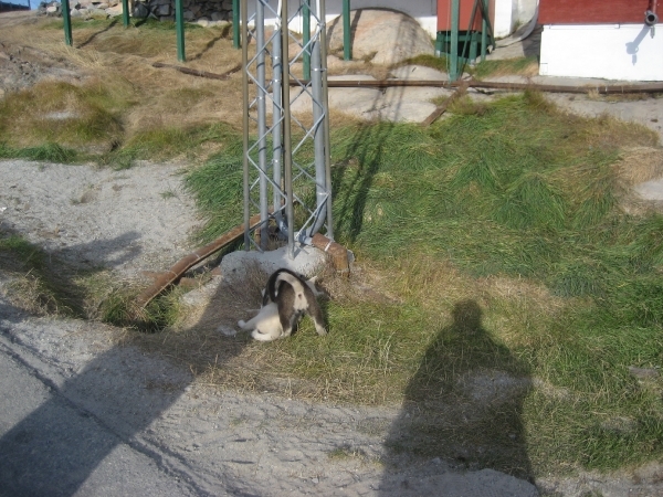 Groenland 2008 163