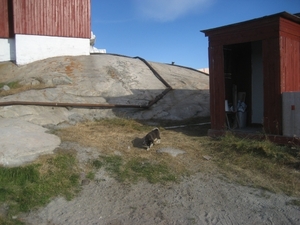 Groenland 2008 164