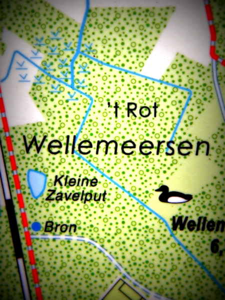 Wellemeersen Denderleeuw