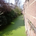 Groen Waterke