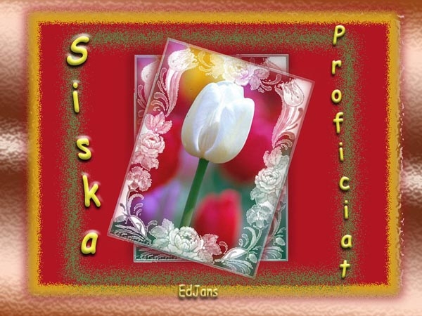 verjaardag Siska-web