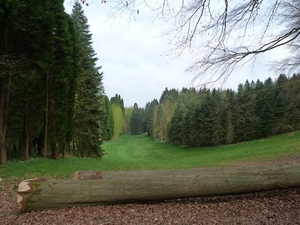 24-Arboretum-Tervuren