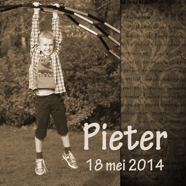 pieter5