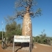 7g Ifaty omg., Reniala baobab park _P1180981