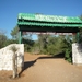 7g Ifaty omg., Reniala baobab park _P1180984