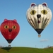 2012-hotairballoon-cat2