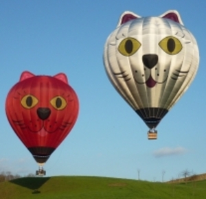 2012-hotairballoon-cat2