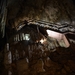 228 Nerja grotten