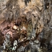 264 Nerja grotten
