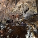267 Nerja grotten
