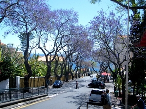 2014_04_21 Madeira 024B