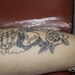 Tattoo Conventie Hamme 2014IMG_0343-0343