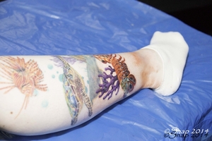 Tattoo Conventie Hamme 2014IMG_0521-0521